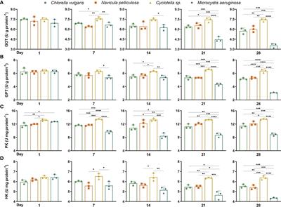 Molecular and biochemical effects on metabolism and immunity of Hyriopsis cumingii fed with four different microalgae